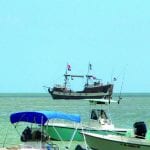 article image -